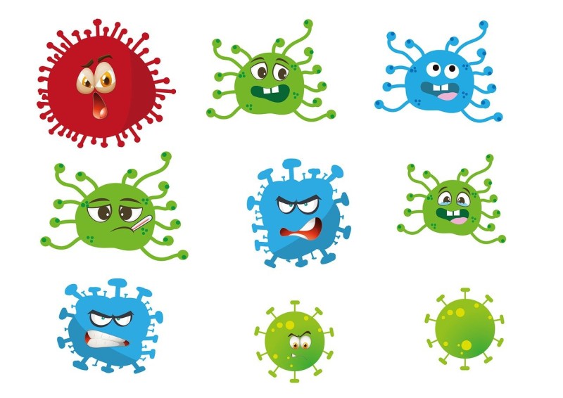 Immunsytem
